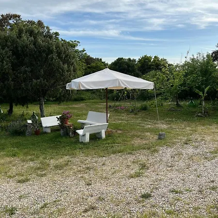Ruia Holiday home Sant'Antonio di Gallura